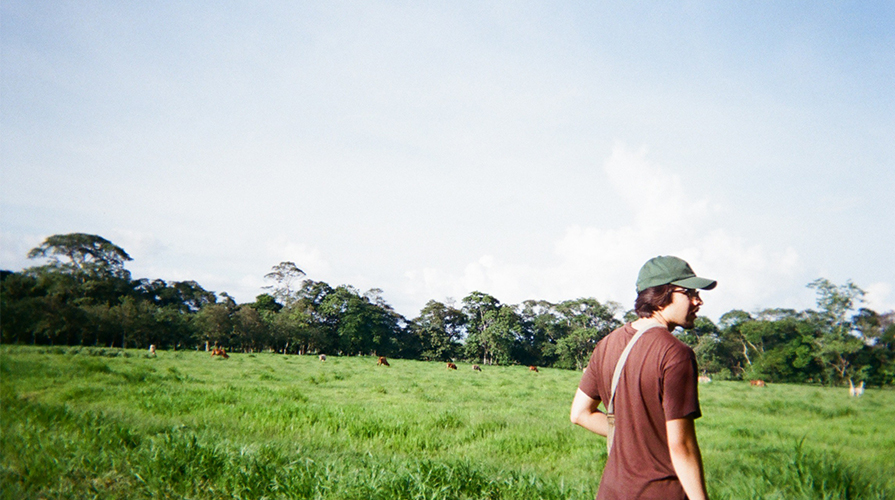 Julian Villa in Costa Rica - in a field